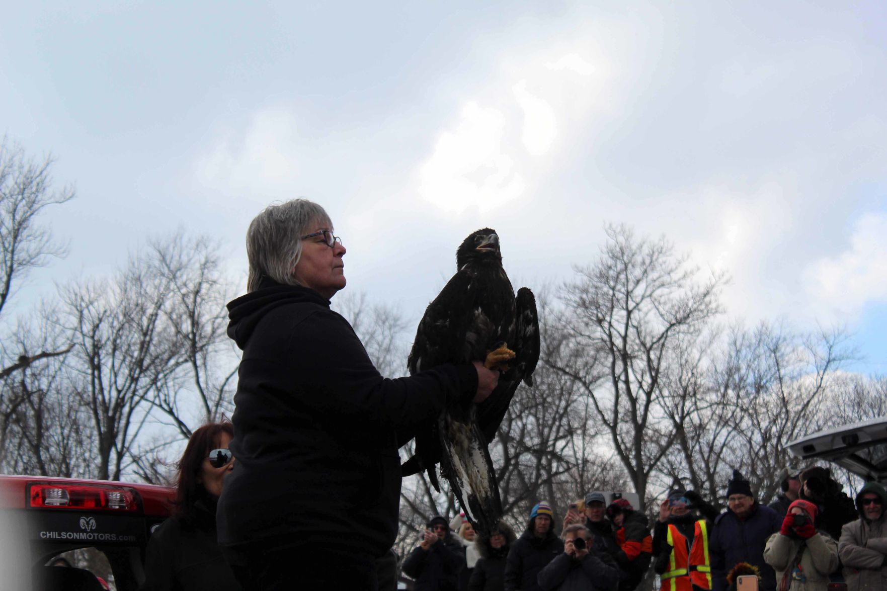 Donna prepares to release eagle